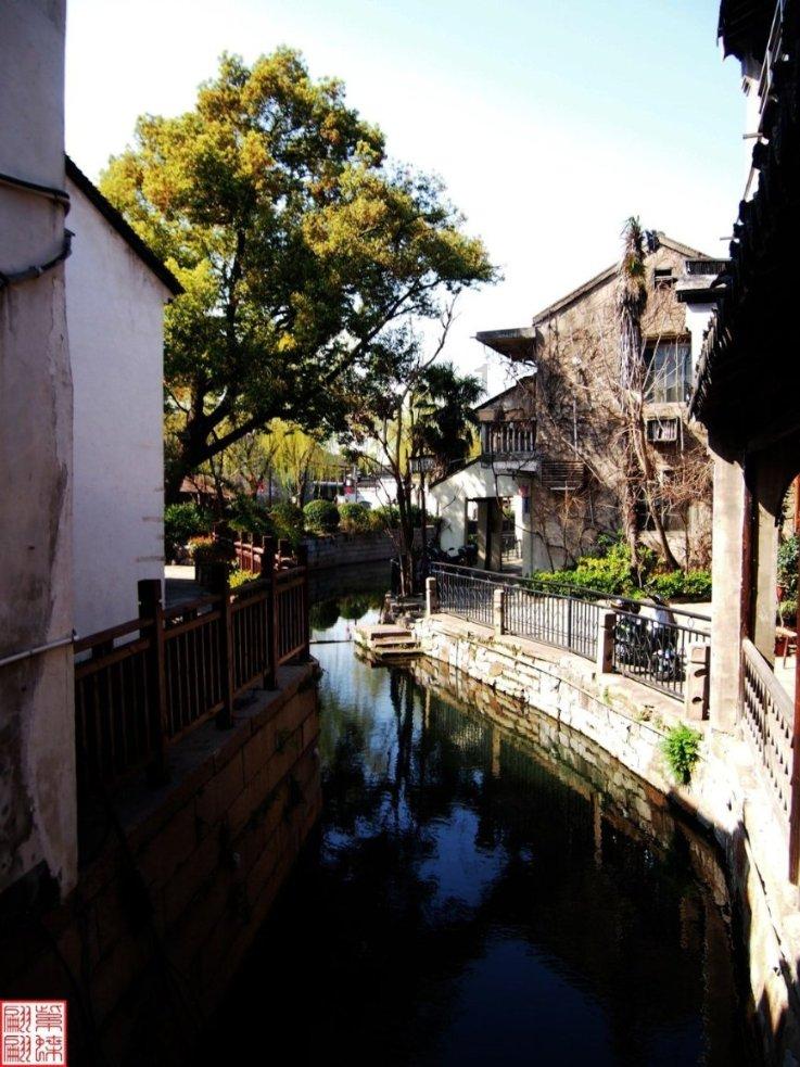 秦海璐新剧《狗剩快跑》，演技在线，但脸肿脸僵